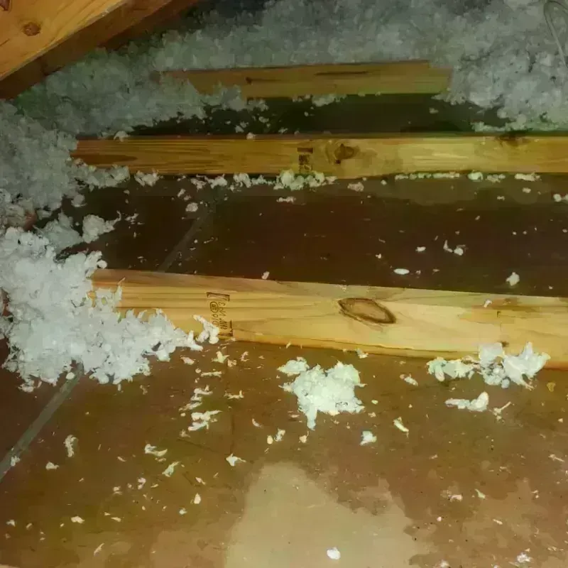 Attic Water Damage in Dyersville, IA